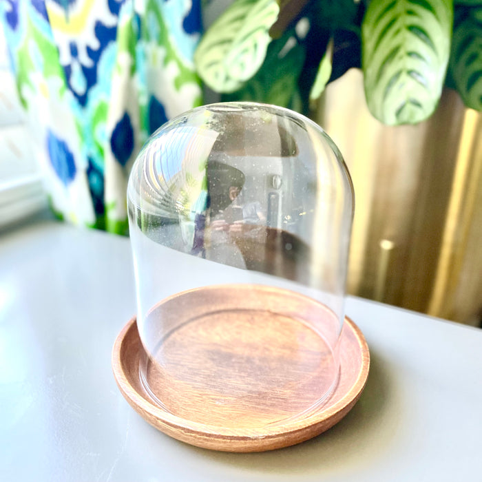 glass candle cloche with acacia wood base
